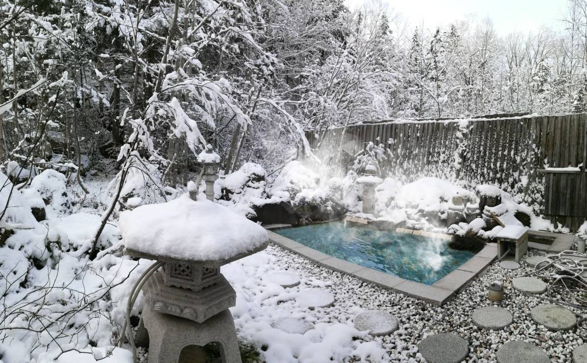 Shirogane Onsen Hotel | 20 m² Hotel ∙ 1 bedroom ∙ 2 guests