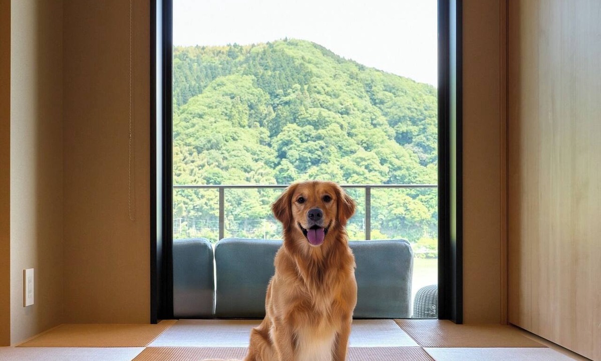 Toyooka Hotel | BRakuten STAY TERRACE Kinosaki Riverside 3 Queen 4 Single Beds Pets Allowed/Toyooka City Hyōgo
