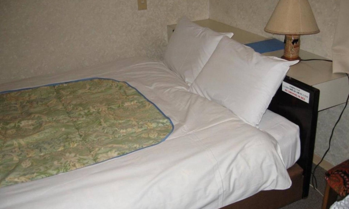 Higashiueno Hotel | Duble room double bedroom nonsmoking/Taito-ku Tokyo