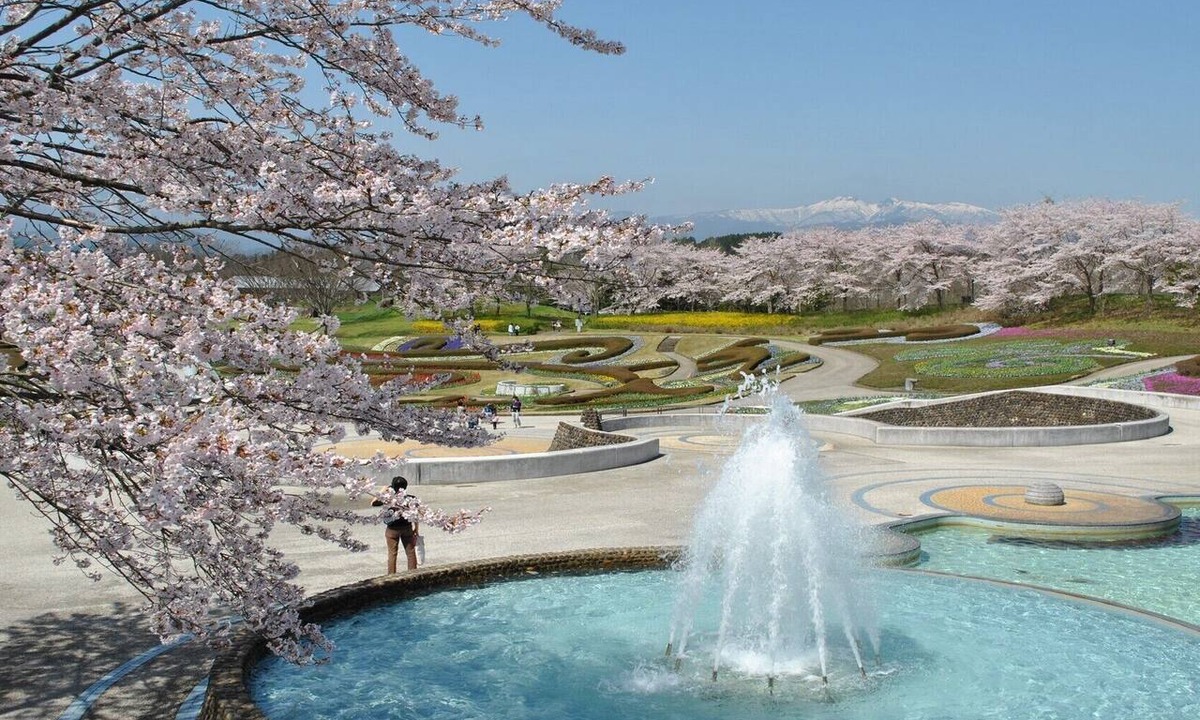 Onagawa House | Hotel El Faro Onagawa Trailer Village