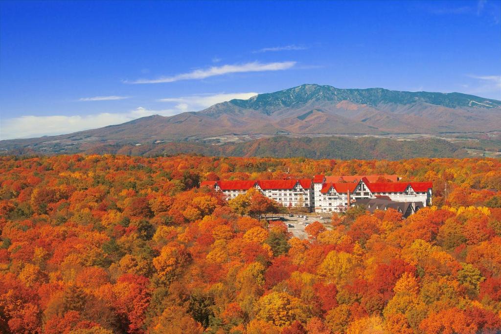 Tsumagoi Hotel | Hotel Green Plaza Karuizawa