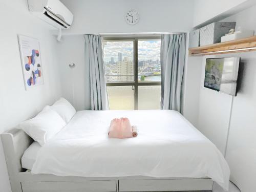 Kameari Apartment | SC Hotel Kameari #1110 - Newly Renovated High Floor City View 2min to Mall 5min to Station Disney Access