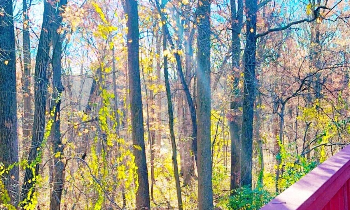Colesville House | Wooded 3BR Retreat Near DC: Free Parking. Pet/Infant/Kids-Friendly. Private Deck
