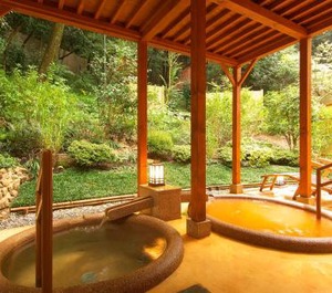 Arima Onsen Taketoritei Maruyama 