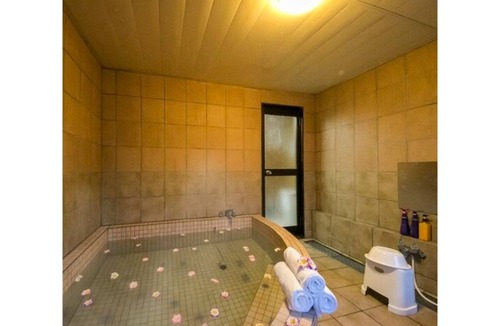 Kimitsu Hotel | 17 m² Hotel ∙ 1 bedroom ∙ 3 guests