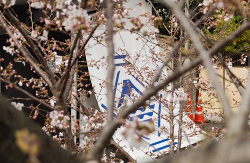 Kamakura House | 2 minutes walk from Tsurugaoka Hachimangu Shrine] Renting out a whole building|adjacent free parking lots (multiple) |Up to 10 people can be consulted|New full renovation