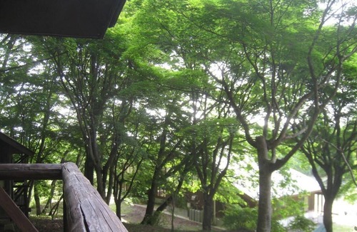 Hitachiomiya RV Rental | Cabin B for 4 people / Hitachi Omiya City Ibaraki