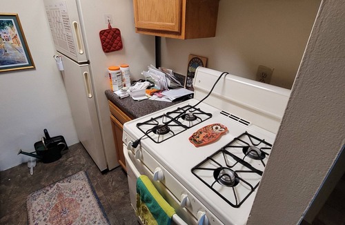 Takoma Park Apartment | Charming 1-bedroom apartment with WiFi, AC in peaceful Takoma Park, Edge of DC