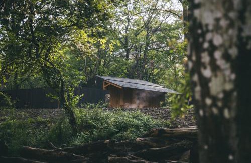 Shinkashio Onsen Hotel | Earthboat Nasu - Glamping Cabin with Private Wood-Fired Sauna & Onsen, Pet-Friendly & Cage-Free