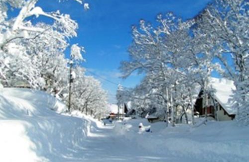 Madarao Mountain Resort House | Madarao Elm Pension