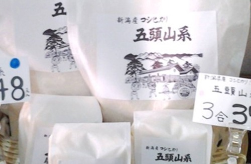 Agano Hotel | Murasugi Onsen Kawakamiya Ryokan