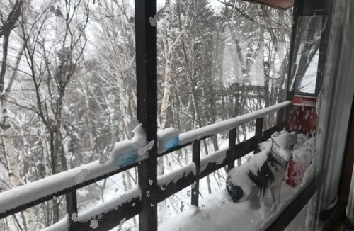Yuzawa Cabin | Naeba Ski Resort – Escape from City Life