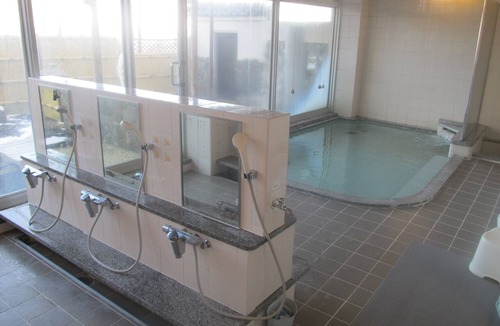 Nanbu Hotel | Nanbuchou Nouringyogyou Taikenjisshukan Churius