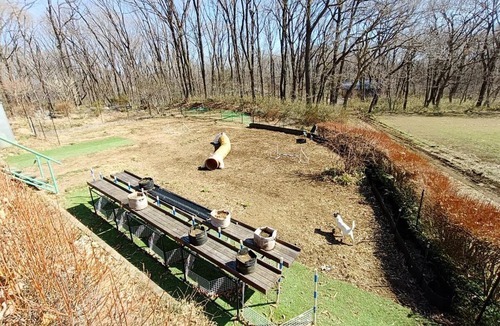 Nasu House | Nasu Cottage Flaps -那須 コテージ フラップス-