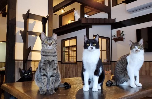 Old Town House | NEKO no TSUKI