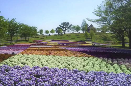 Kami-machi Bed & Breakfast | Pension Kamifuji