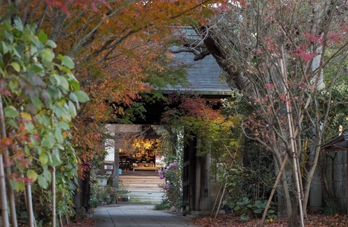 Utsunomiya Cottage | Room only A relaxing and refreshing trip 2 night plan Wooden trailerstyle tiny house temple l /Utsunomiya Tochigi