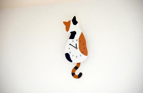 Minato Apartment | Roppongi Cat House601