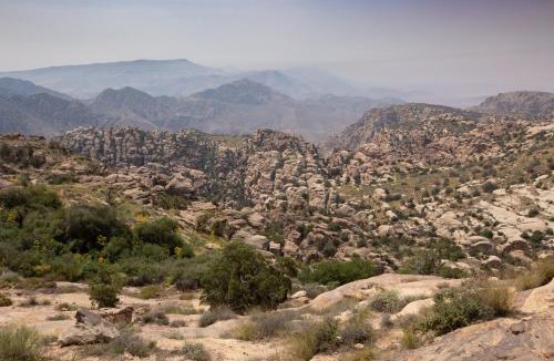 Dana Other | Rummana Campsite