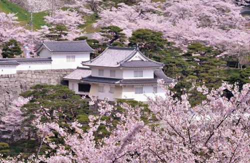 Nihommatsu Hotel | Standard room only plan double room/Nihonmatsu Fukushima