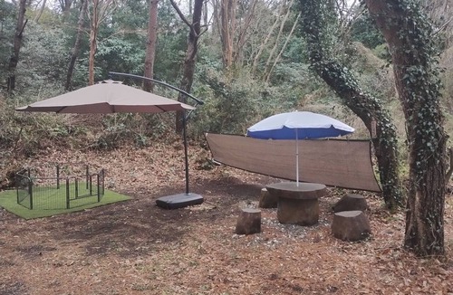 Ito Cottage | Surrounded by lush natural beauty, our facility offers excellent access to popular tourist attractions and is a favorite among guests traveling with pets!