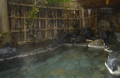 Asamushi Onsen House | Tsubakikan