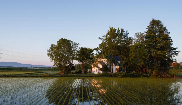 ガストロノミー 北海道旭川 田園の中のオーベルジュ Maison Tsugawa Hokkaido