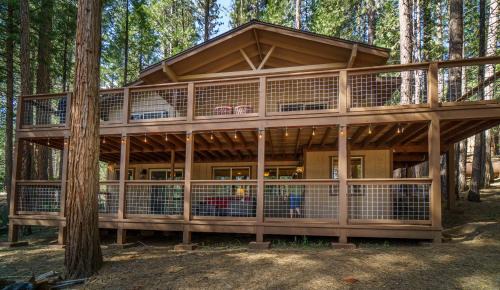 20B We-Dunn-It in Wawona