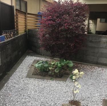Accommodation Service B&B in Miyazaki