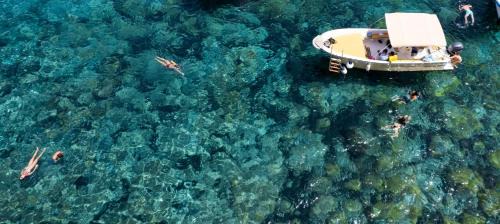 Aegatesrentboat in Marettimo