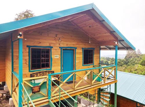 Cabañas Emerald Forest in Concepción