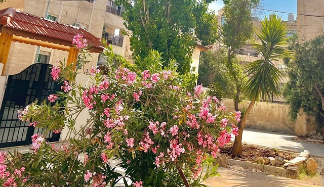 Charming house with AC in enchanting Irbid in Irbid