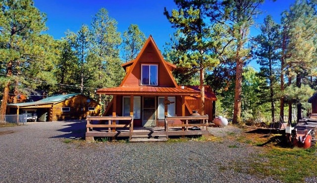 Comfy Cabin w/Mountain Views/Free WiFi/Firepit/Washer/Dryer - Near Wolf Creek in South Fork
