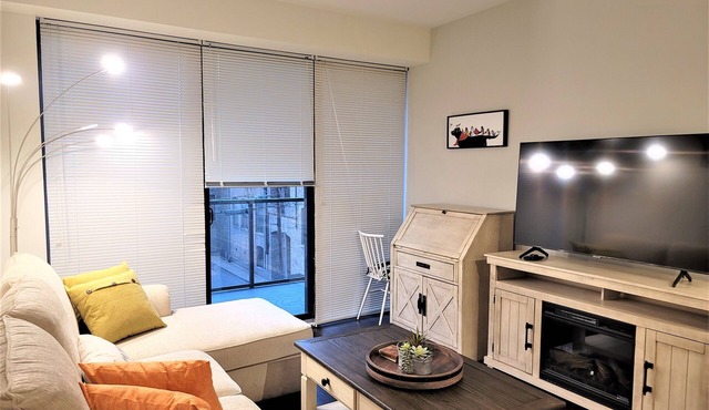 Executively Appointed Condo, w/resort amenities, IND GAR, Pool, Gym+ Biz Lounge in Evanston
