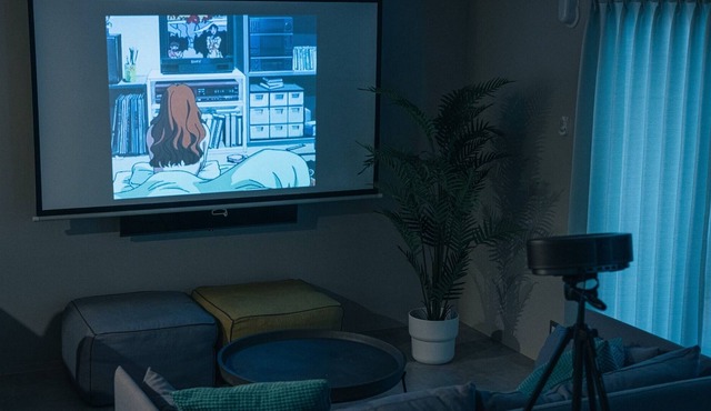 Four beds with projector / Fukuoka Fukuoka