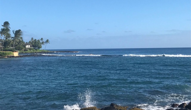 Fully Renovated Oceanfront with Air Cond. Ground Floor Unit with Spacious Lanai! in Poipu