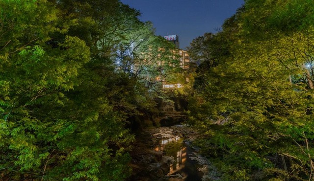 Hotel Miyama