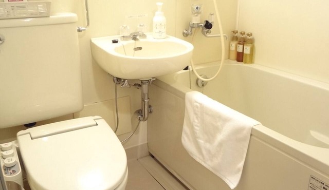 Hotel Paco Obihiro Chuo