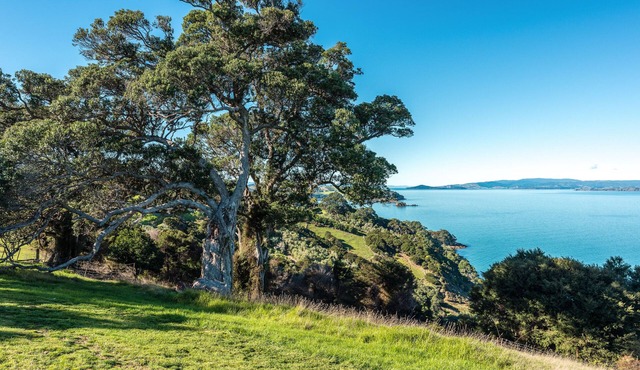 Luxury Cottages on Private Coastal Estate, Hot Tub, Fire Pit, Beach Access in Waiheke Island