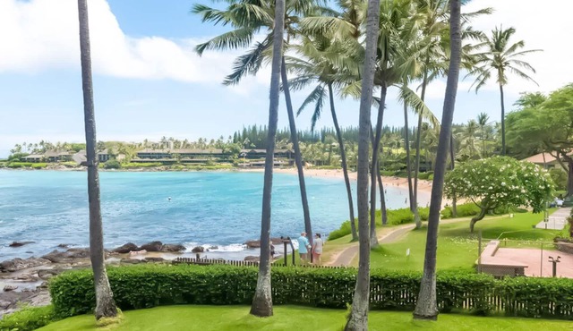 Maui Magic A206 AC BEACHFRONT Napili Bay/ATTN: Cleaning fee added AFTER booking in Lahaina