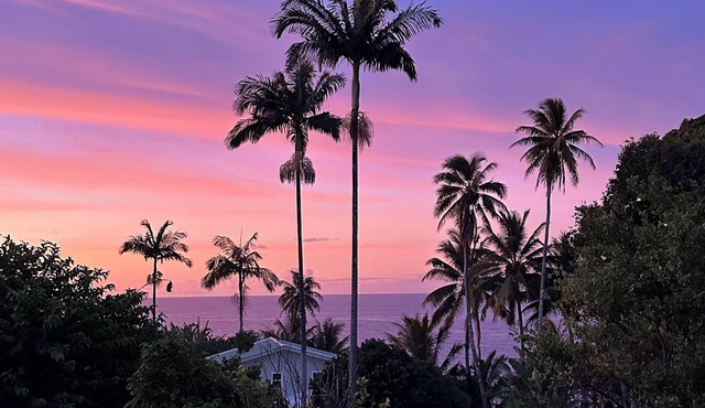 NEW! Come experience this private gated property with Ocean and stream views. in Ninole