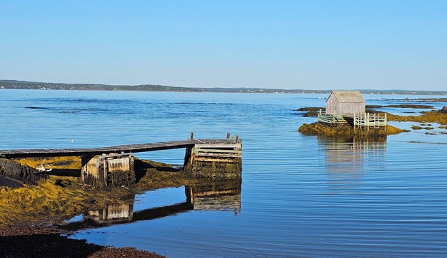 Ocean Front Retreat - Morning coffee watching the BlueNose sail by. in Lunenburg
