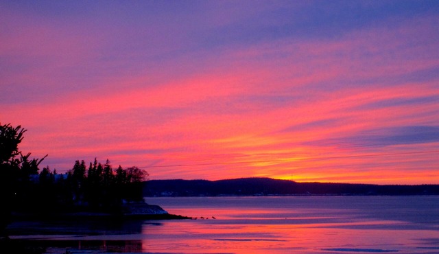 Oceanfront 3 Bedroom Cottage 5 Minutes from Peggy's Cove. in Hacketts Cove