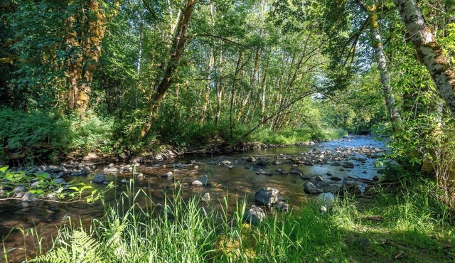 Peace and Quiet ~ Unique Escape w/Sauna & BBQ in Longview