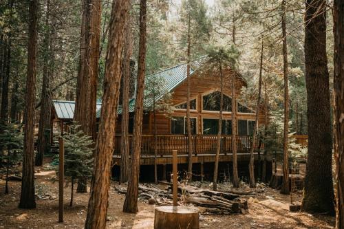Peace of Mine - Cabin inside Yosemite - Dog Friendly in South Wawona