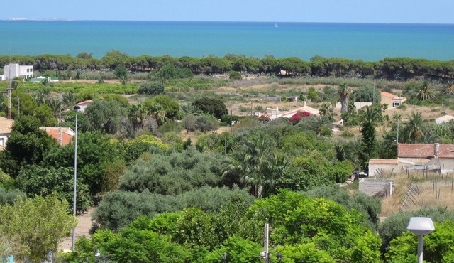 Premier Apartment in La Marina Village -Wow Sea View. 750m country walk to Beach in Comunidad Valenciana