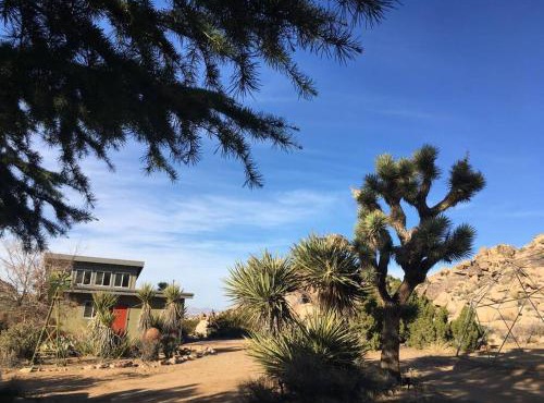 Rancho Rockotillo - Breakfast in the Boulders! in Joshua Tree