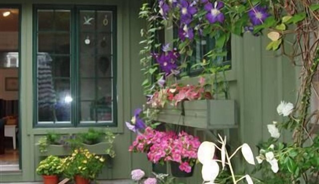 Seaside Garden: 2 min walk to the Bay, peaceful, private, bird haven. in Eastham