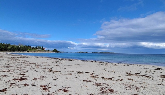 Sept Availability! Steps to St Margaret's Bay in Hubbards