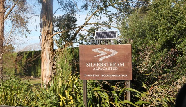 Silverstream Alpaca Farmstay & Tour in Kaiapoi